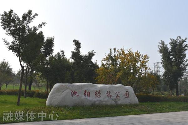 绿化景观“梳妆” 扮靓城市“颜值”