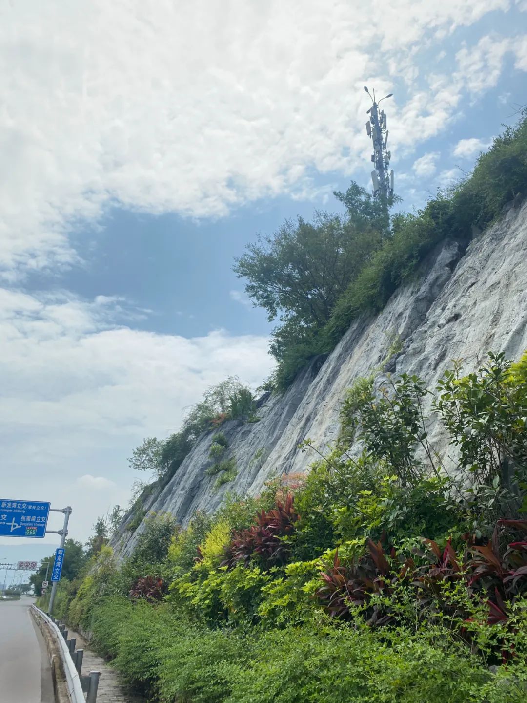 美翻了！渝航大道（渝北段）边坡景观提升工程建成“亮相”