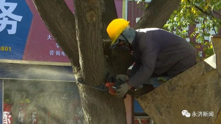 市园林绿化管理中心:精修细剪显成效 美化城市提品位 市园林绿化管理中心:精修细剪显成效 美化城市提品位