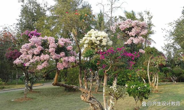 园林景观花境设计有哪些特点？怎么做？需要养护吗？