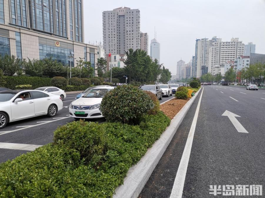福州南路中央绿化带终于变绿了！