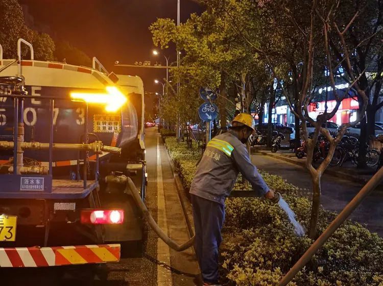 抗旱保绿不松劲，绿化守护人为花草树木送上“及时雨”