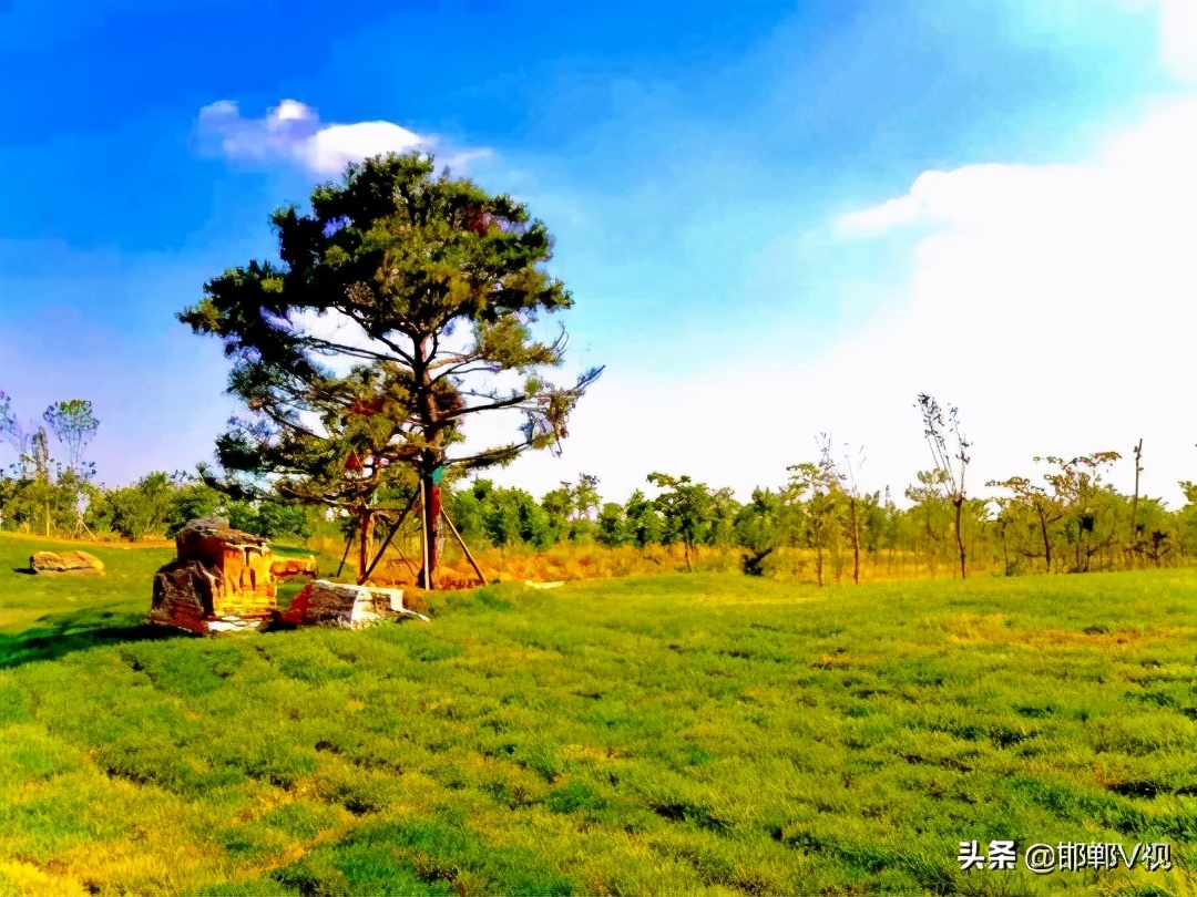 绿化提升面积10000亩，复兴更美了