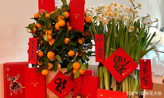客厅养花有讲究：这3类植物再“喜欢”也别养，对家人不利