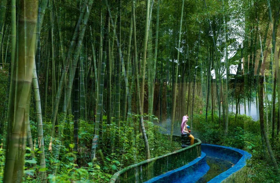 国家森林城市！芜湖中心城区绿化覆盖率达72.28%