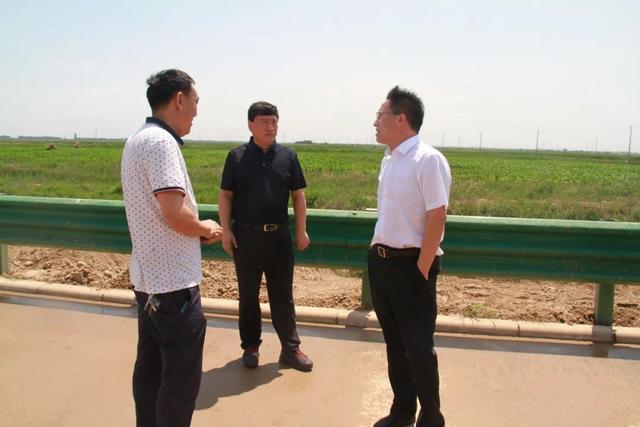 张江圣视察庐山路南延工程绿化工作