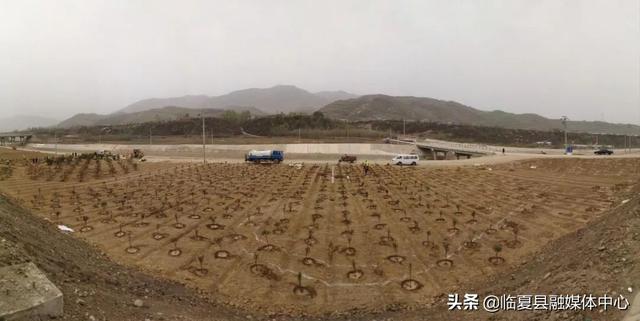 临夏县：实施绿化美化工程 建设生态宜居家园