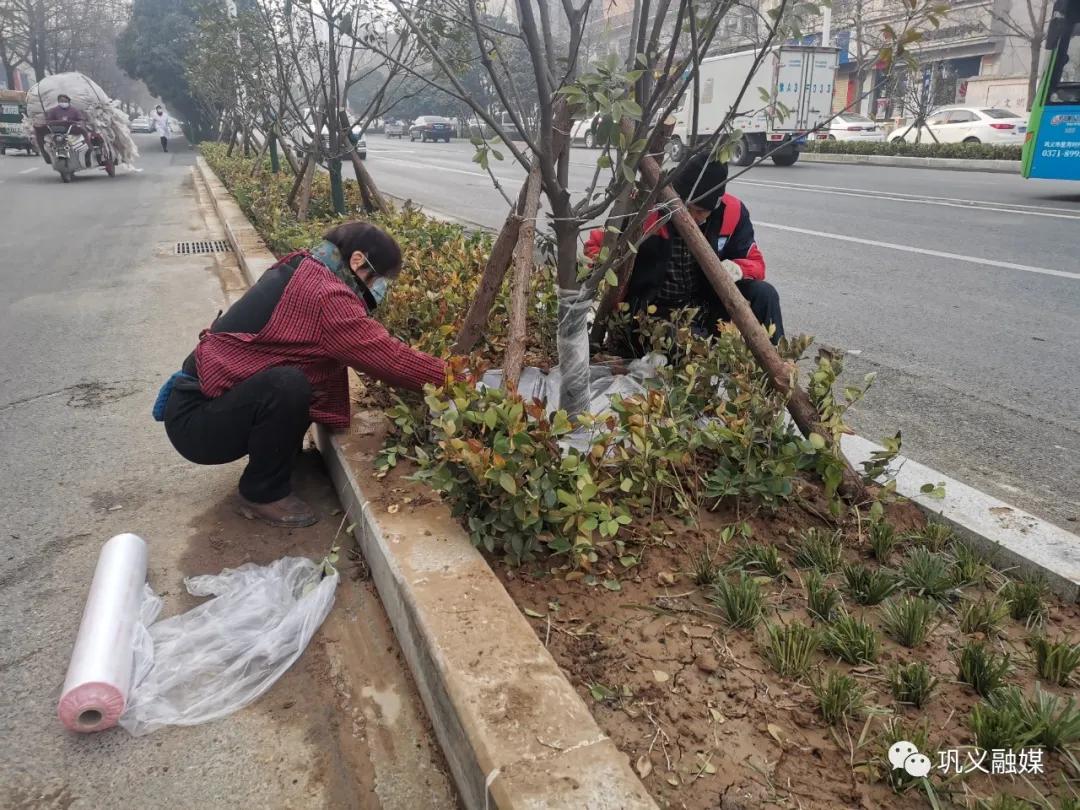 颜值再升级！巩义这些路口绿化工程已启动！