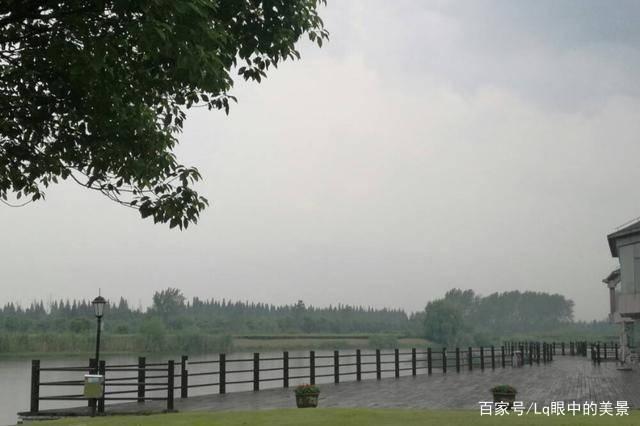 上海明珠湖公园占地6500亩，水面面积近3000公顷，景色很美