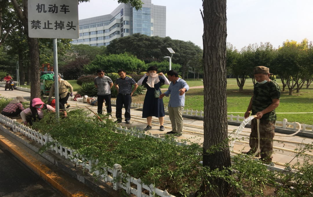 创建新植示范路段 提升城区绿化带景观效果