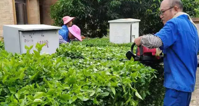 绿化的修剪方法