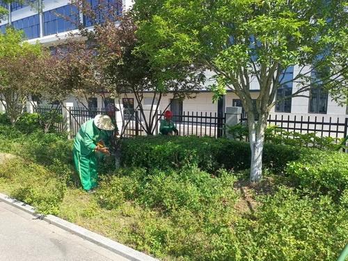 平湖 市建设局园管中心打响“绿化保卫战”