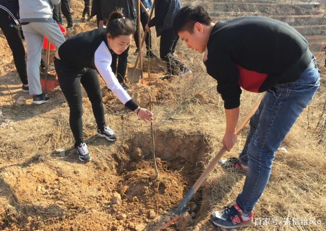 林业造林技术的应用分析 林业造林技术的应用分析