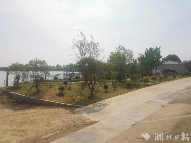 枣阳：打造公园式河库环境