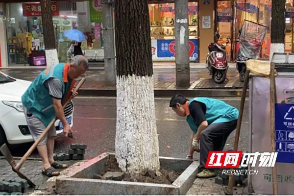 株洲芦淞区绿化中心：“绿衣人”的“苦”与“乐”