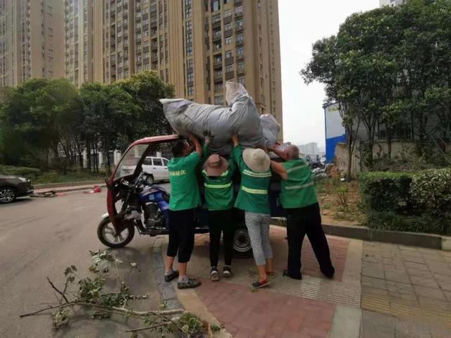 争创全国文明典范城市丨巩义市园林绿化中心在行动