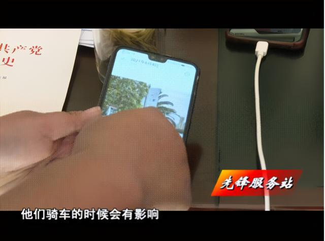 行道树“换发型”要绿化更要便民