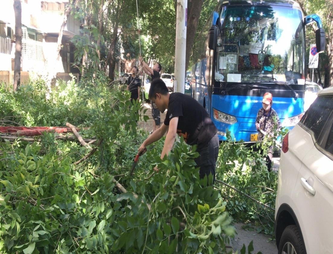 早预防、早控制 做好夏季绿化养护 早预防、早控制 做好夏季绿化养护