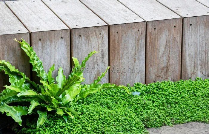 英式传统花境的现代演绎亮了,附全部植物配置品种,开眼了 英式传统花境的现代演绎亮了,附全部植物配置品种,开眼了