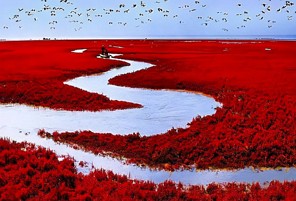 你好！世界湿地日|各地保护建设成就速览