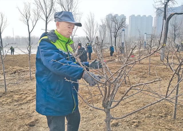 「创建全国文明城市」禹都公园 绿化美化打造新亮点