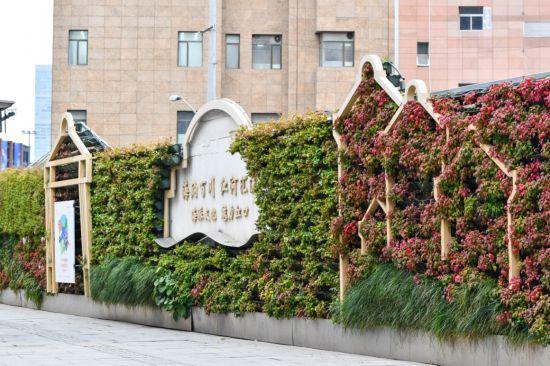 上海公园城市建设中的立体绿化，你知道哪些？