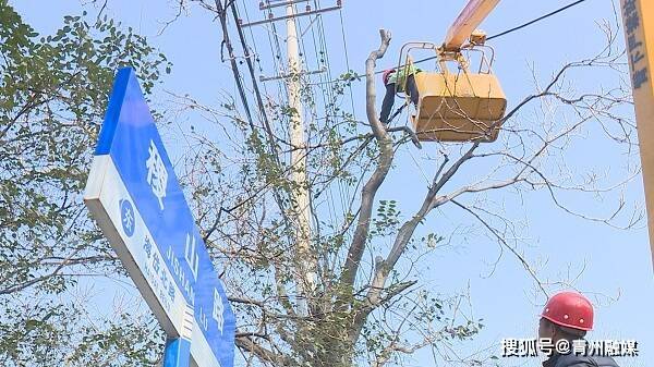 青州市园林绿化和环卫中心： 不负好春光 绿化修剪忙 