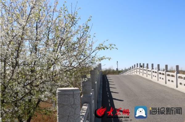 北海经济开发区：春季绿化养护忙 不负春光展新颜