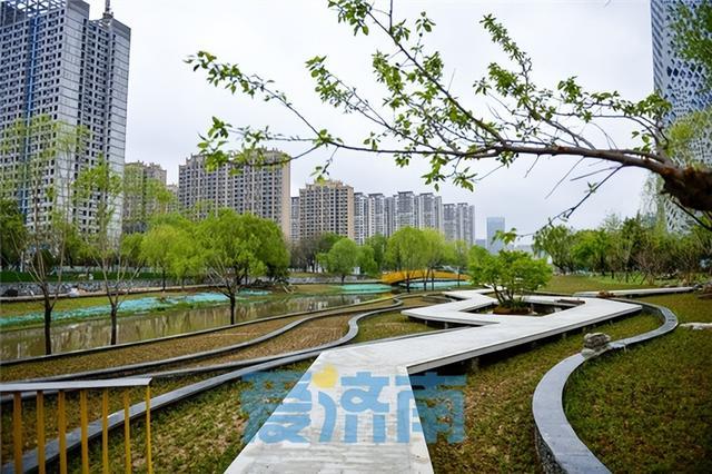 济南腊山河：新河堤景观初步显现 形成滨河生态景观廊道