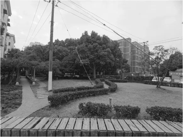5块绿地，将提升改造！