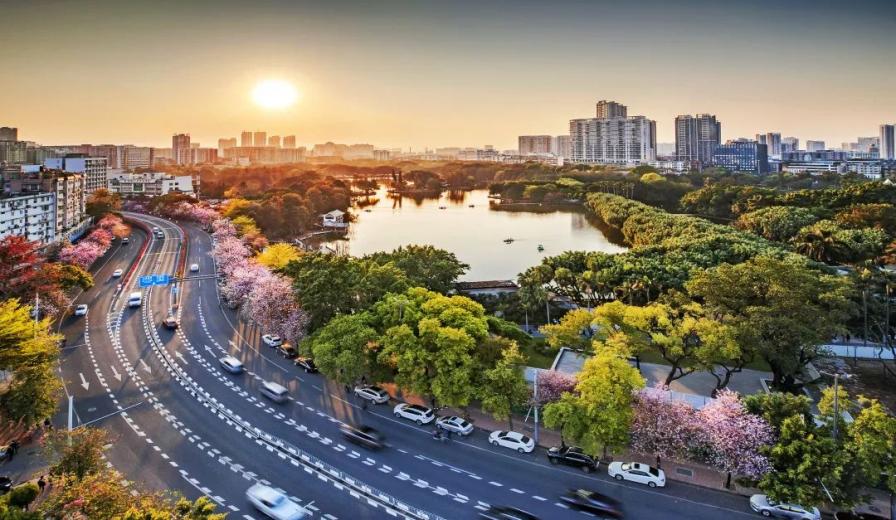 广州要建这么多公园！超级期待