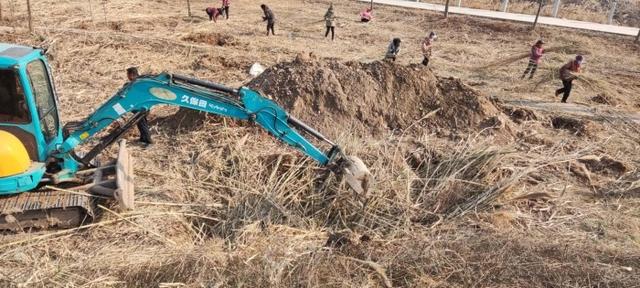 区林业局：抓早动快拉开春季国土绿化帷幕