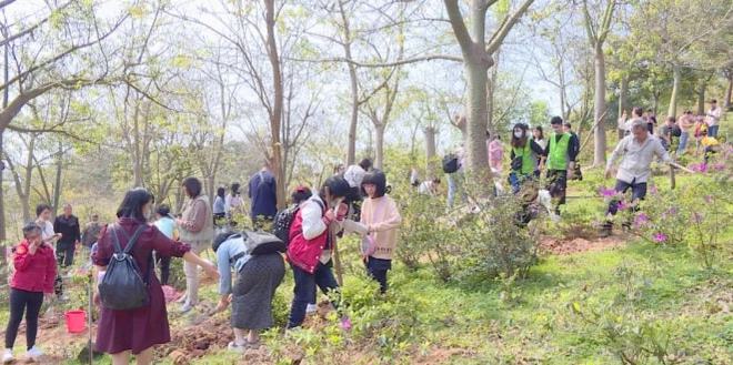 森林覆盖率近六成！潮州市40年全民义务植树超一亿株