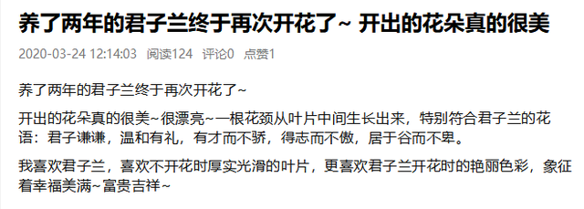 养了2年的君子兰开花了，只因做对了这5件事，咱也学一学