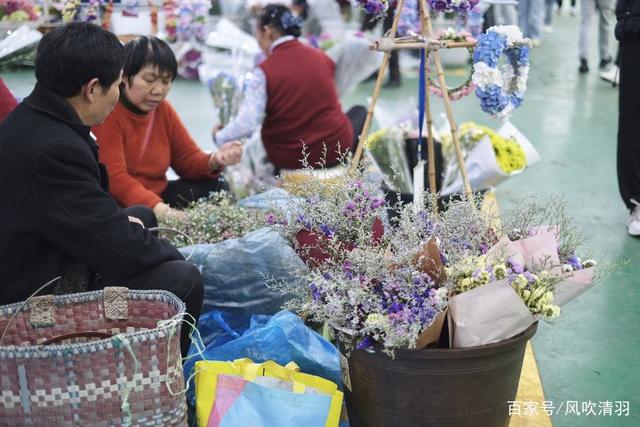 超棒！中国三大避寒养生旅游胜地，绿化好，空气好，适合养老
