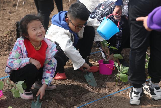 苗圃基地变研学基地，青岛市园林和林业局优化营商环境助企业发展