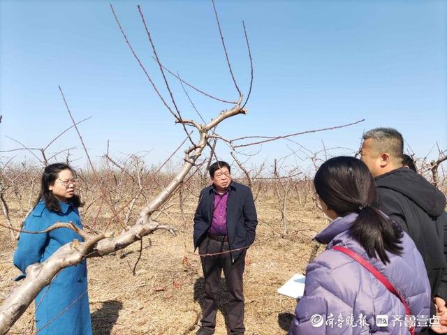 抓好春季生产，聊城市自然资源和规划局经开区分局送技术下乡