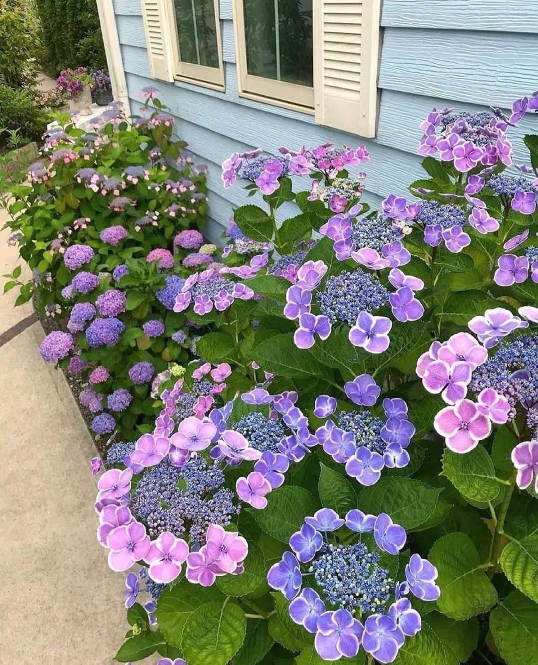 小花园也应有风格——一种与你生活方式、周围环境相匹配的风格 小花园也应有风格——一种与你生活方式、周围环境相匹配的风格