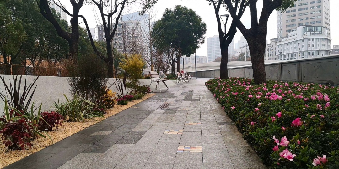  全长6.3公里！苏州河静安段景观绿化正式开放