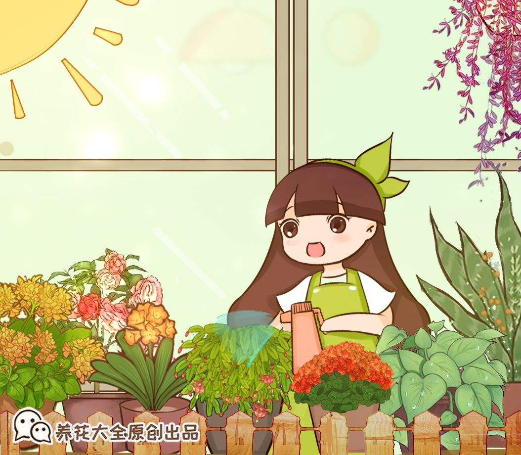 刚买回家的花，花市老板都让浇水，到底什么原理？