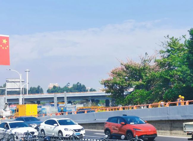 躲过了荷花的夏天、菊花的秋天，却没躲过美丽异木棉的冬天