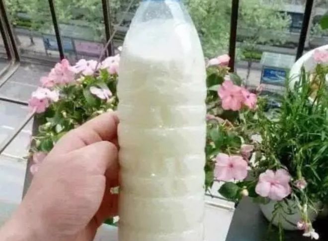 自制4种养花“营养液”，半个月浇一次，花儿长得茂盛，开花多