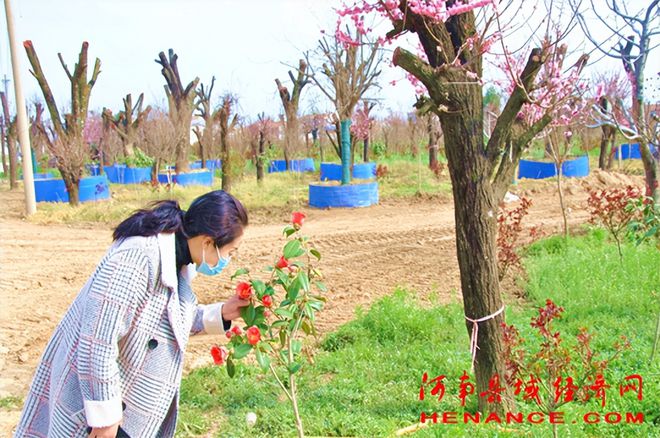 夏邑县孔庄乡： 春光无限好 农民绿化忙
