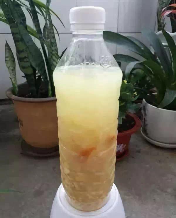 悄悄告诉你，养花高手都会的10个小妙招，学会以后，事半功倍
