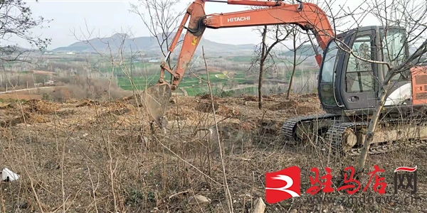 确山县新安店镇:再掀生态绿化山区造林新高潮 确山县新安店镇:再掀生态绿化山区造林新高潮