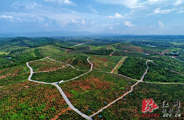 祁阳发布1号林长令 为奋力建设现代化新祁阳提供高质量生态安全屏障