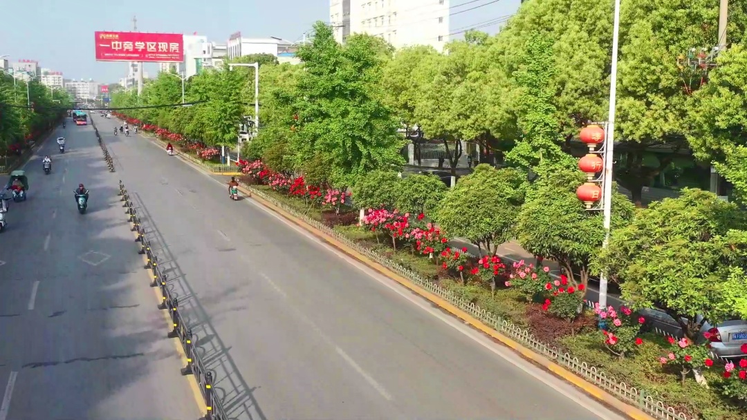  推窗见绿 出门见景 孝昌加快绿化美化 提升城市“颜值”