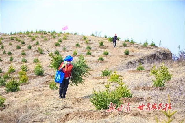 会宁：按下绿色发展“快进键”奏响生态文明“交响乐”