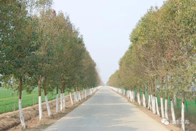 汝南：推进国土绿化 扮靓美丽乡村