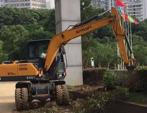 九江和中广场绿化景观改造提升工作启动